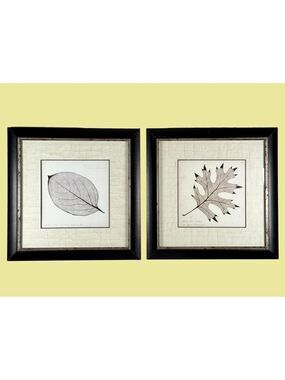 Set of 2 P Booker Morey Prints Black Oak & Persimmon Leaf Framed Botanical Art